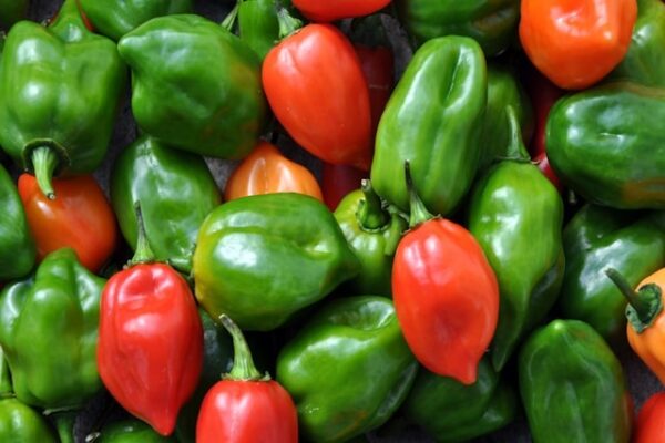 Bell Peppers