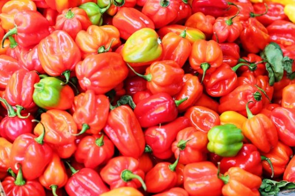 Bell Peppers