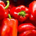 Capsicum