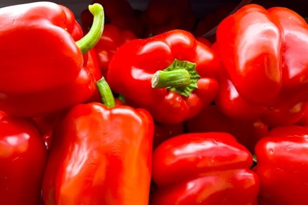 Capsicum