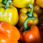 Capsicum