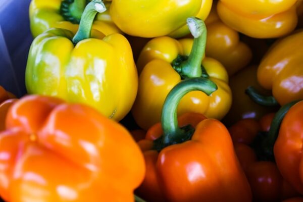 Capsicum