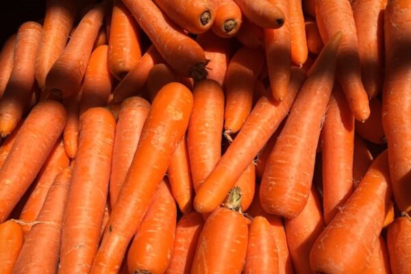 Carrot