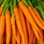 Carrot