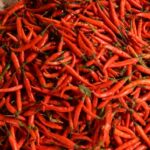 Chilli Peppers