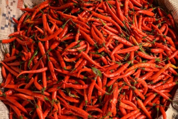 Chilli Peppers