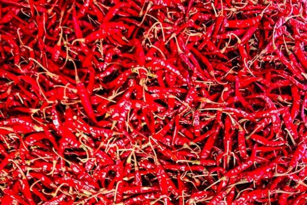 Chilli Peppers