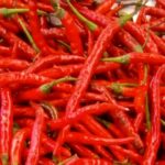 Chilli Peppers