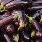 Eggplant