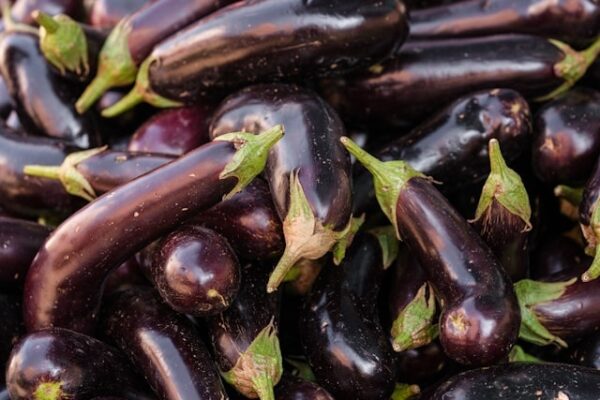 Eggplant