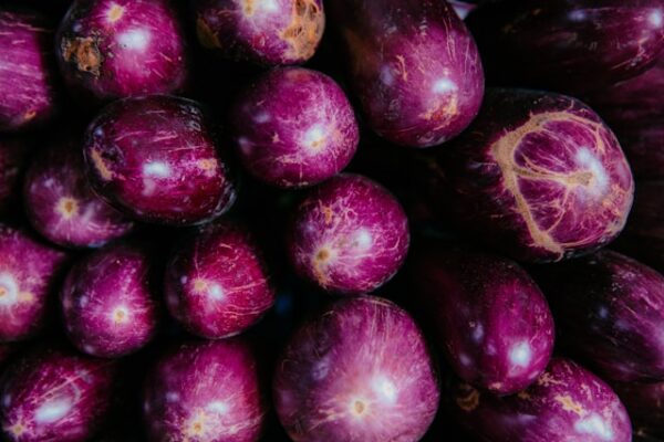 Eggplant