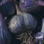 Imported Onion