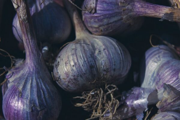 Imported Onion