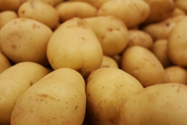 Irish Potato