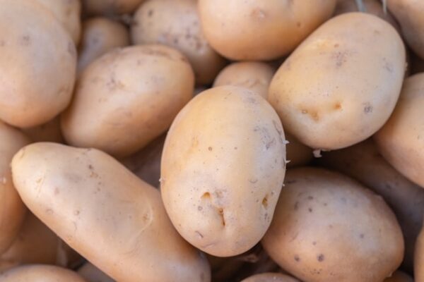 Irish Potato