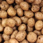 Irish Potato