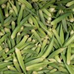 Lady Finger