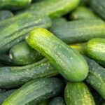 Local Cucumbers