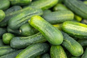 Local Cucumbers