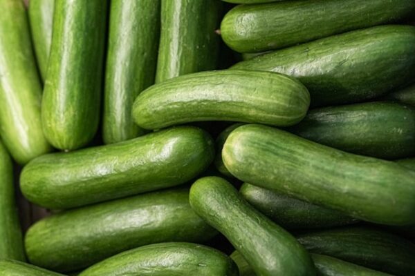 Local Cucumbers