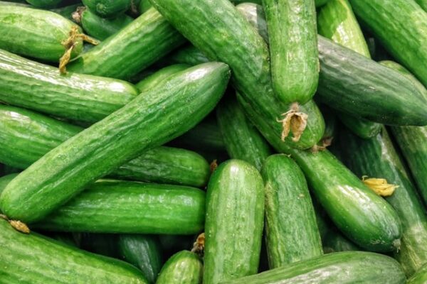 Local Cucumbers