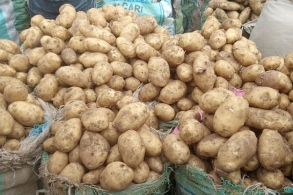 Local Irish Potato