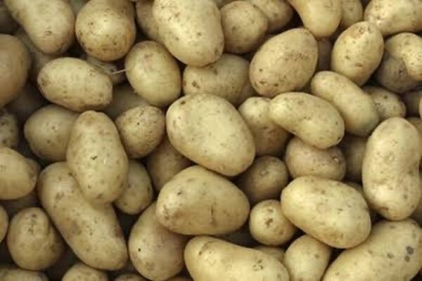 Local Irish Potato