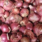 Onion