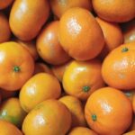 Tangerine