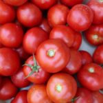 Tomato