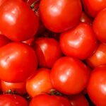 Tomato