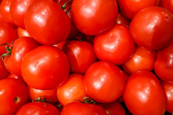 Tomato