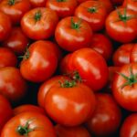 Tomato