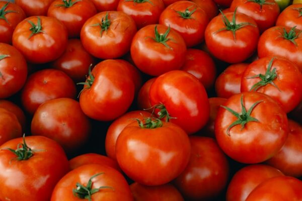 Tomato