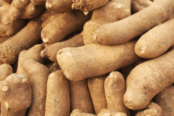 Yam