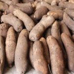 Yam